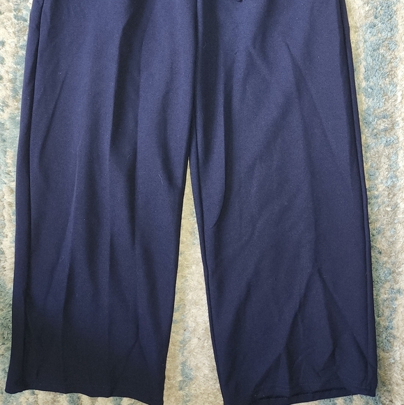 Shosho Blue Wide Leg Capri Pants Small EUC - Picture 3 of 3